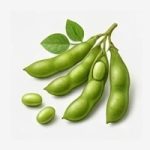 Soybeans