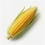 Corn