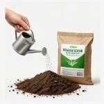 Fertilizers