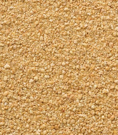 Soybean Meal