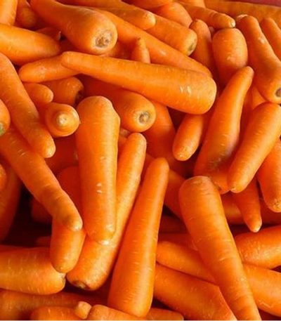 FRESH CARROTS
