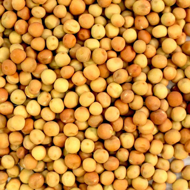 Dun Peas