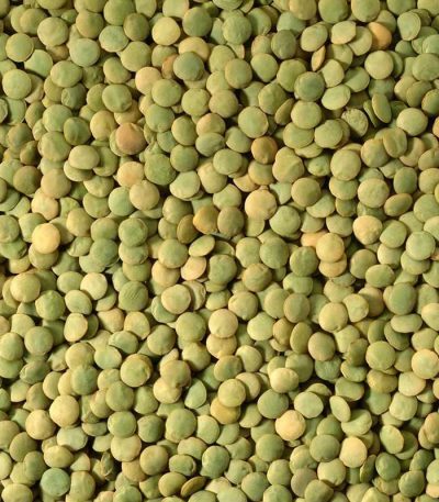 Green Lentil