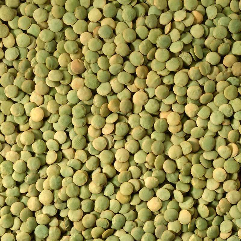 Green Lentil