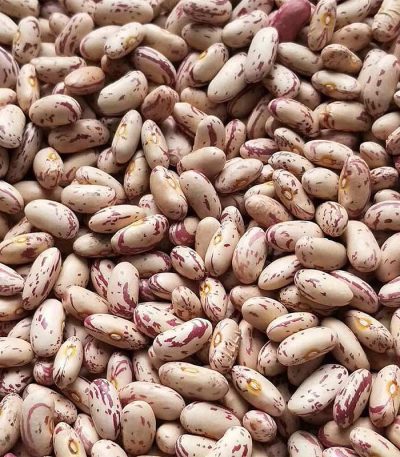Light Speckled Kidney Beans