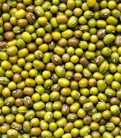 Mung Beans