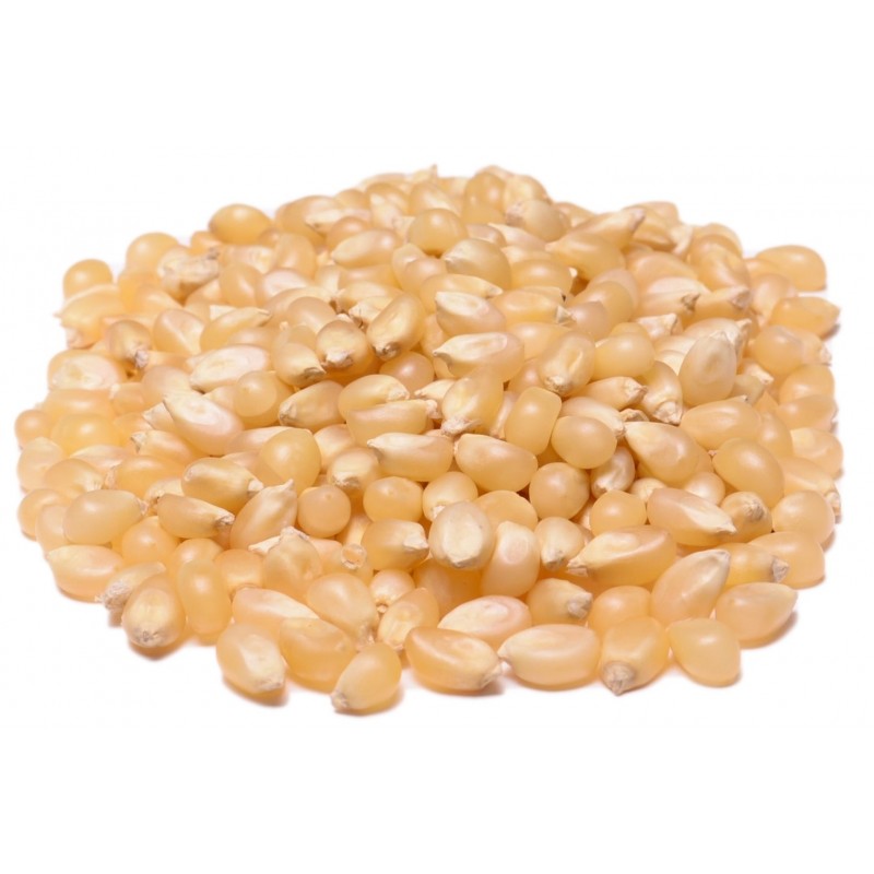 popcorn-white