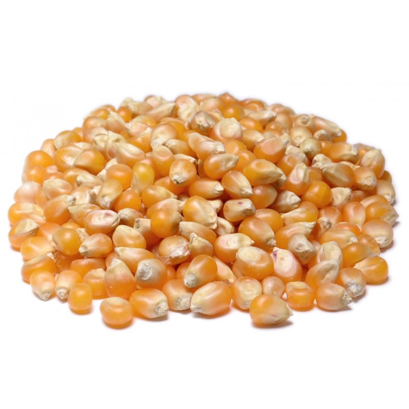 popcorn-yellow