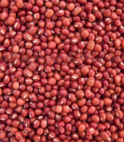 Red Sorghum