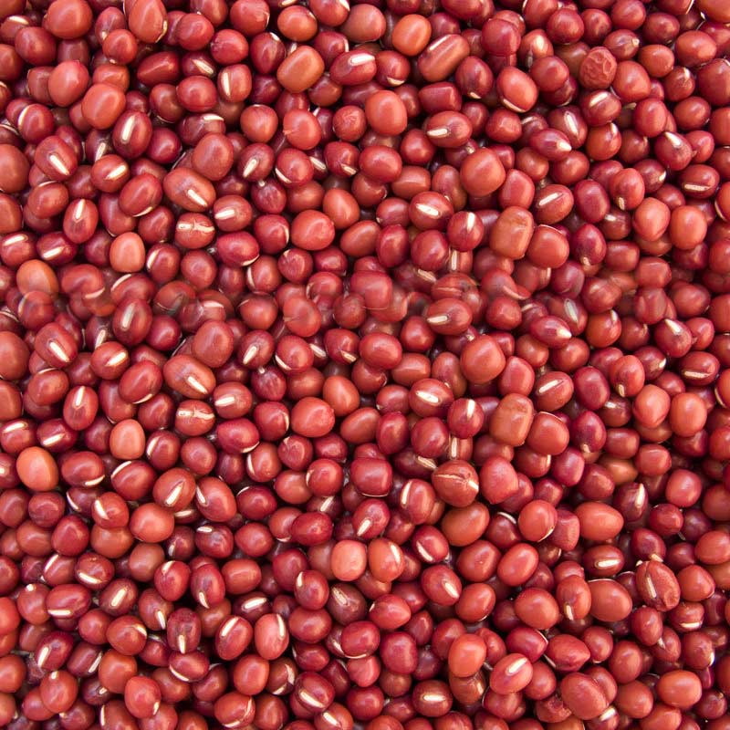 Red Sorghum