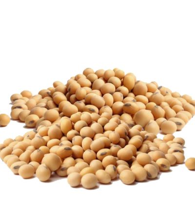 Soybeans Meal