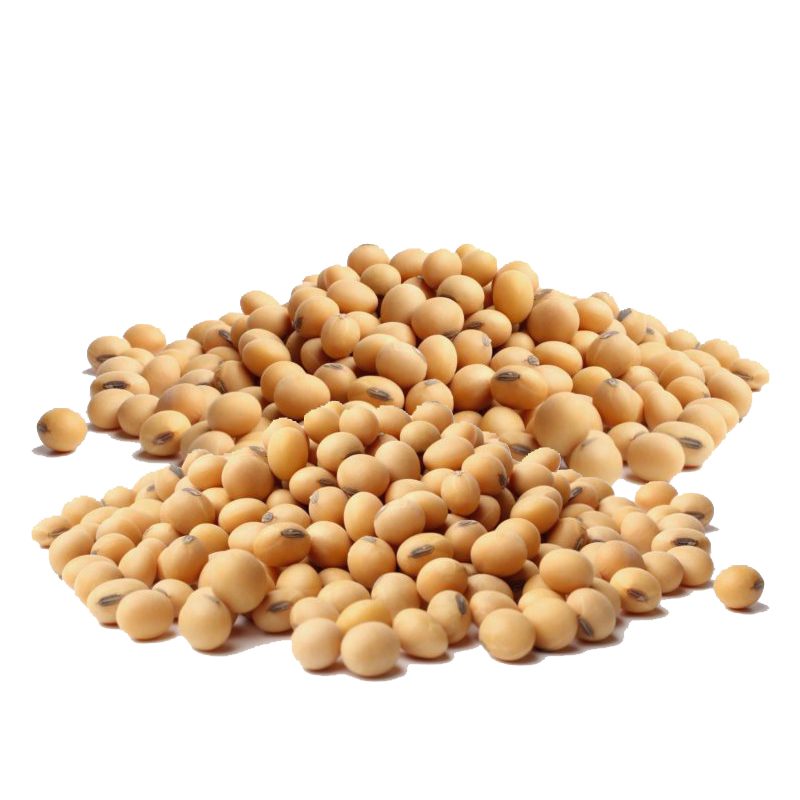Soybeans Meal